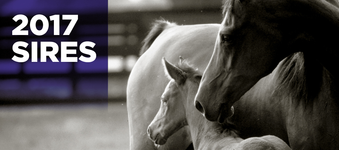 2017 SIRES
