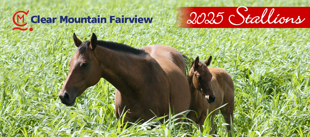 2025 Clear Mountain Fairview