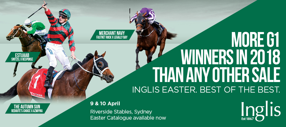 2019 Inglis Easter Yearling Feature