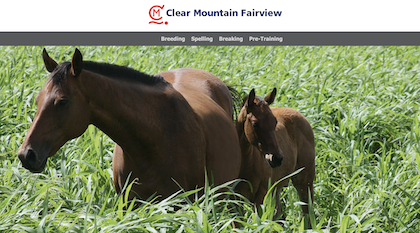 Clear Mountain Fairview