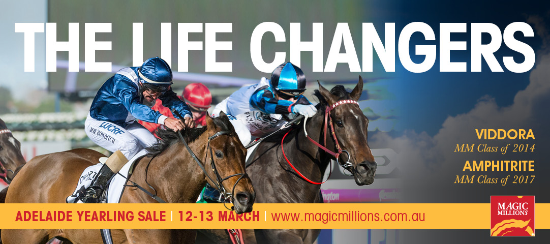 2019 Magic Millions Adelaide Sale