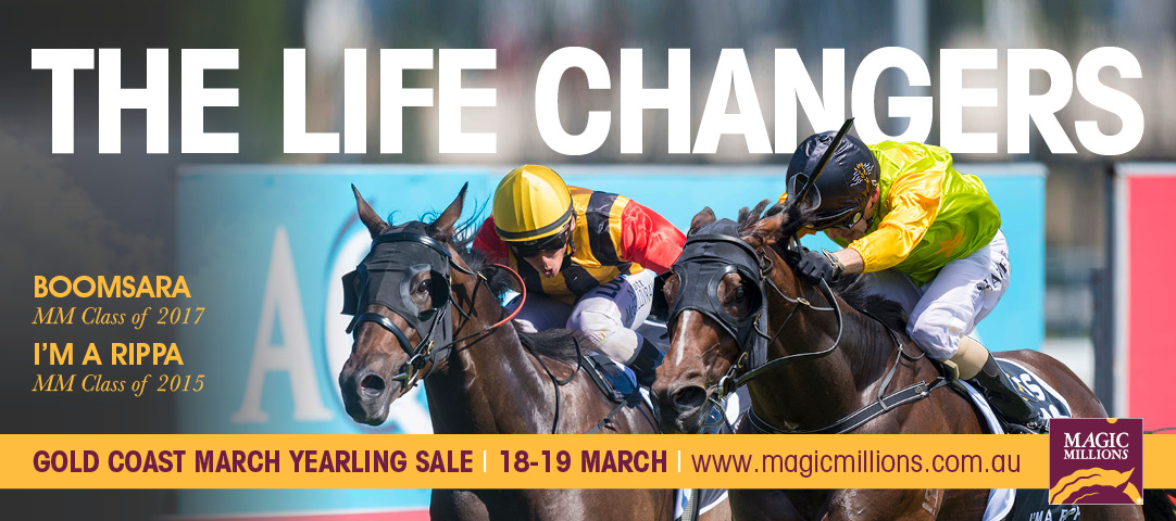 2019 MM March QTIS Sale