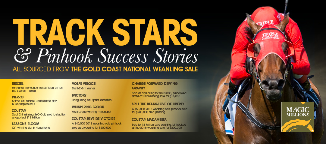 2019 MM National Sale